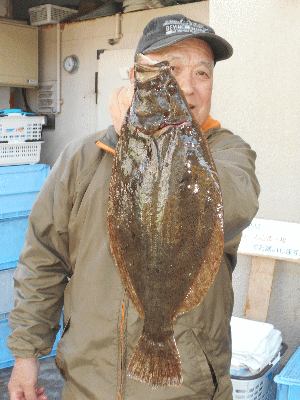 荒川屋 釣果