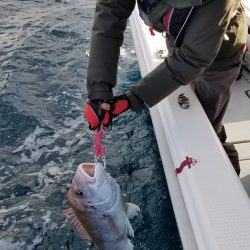 珀宝丸 釣果