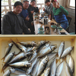 荒川屋 釣果