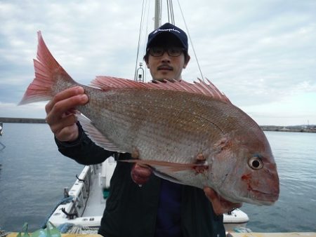 千代丸 釣果