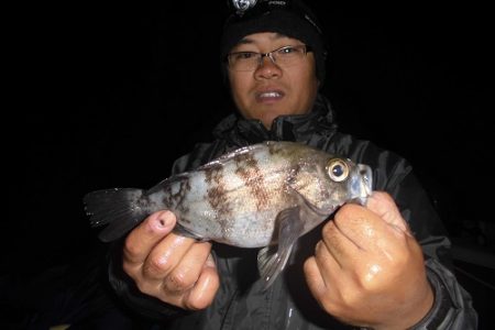 ルアー船マヒマヒ 釣果