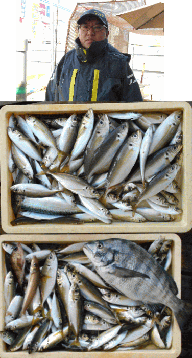 荒川屋 釣果