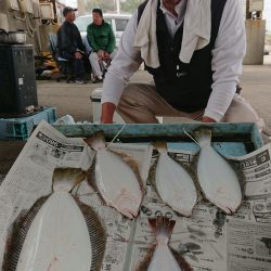 明神釣船 釣果