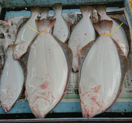 明神釣船 釣果