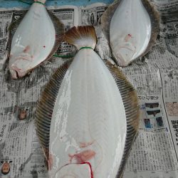 明神釣船 釣果