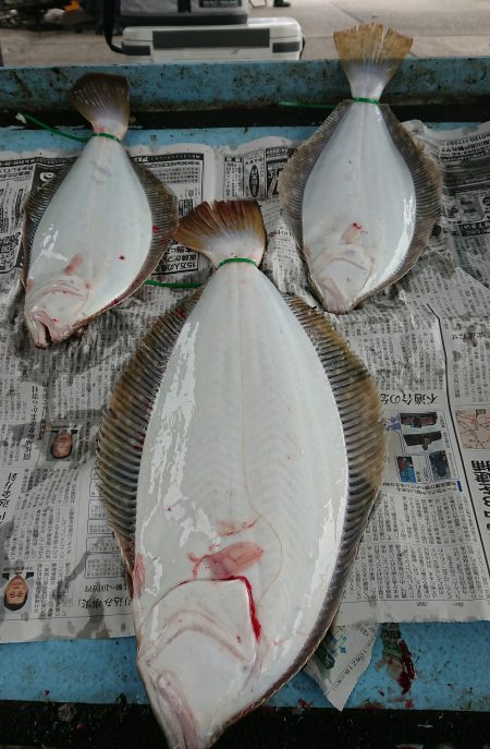 明神釣船 釣果