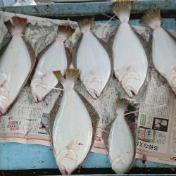 明神釣船 釣果