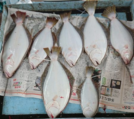 明神釣船 釣果