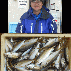 荒川屋 釣果