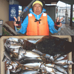 荒川屋 釣果