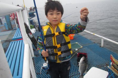 オリジナルメーカー海づり公園(市原市海づり施設) 釣果