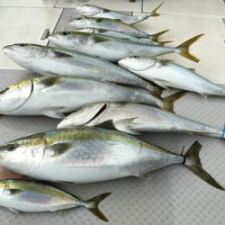 ミタチ丸 釣果