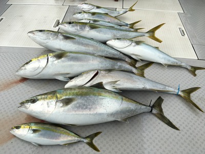 ミタチ丸 釣果