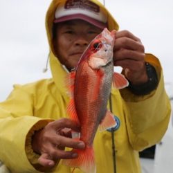 へいみつ丸 釣果