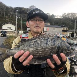 由良渡船 釣果