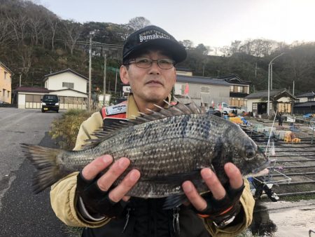 由良渡船 釣果