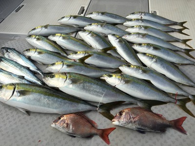 ミタチ丸 釣果