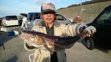 大進丸（新潟） 釣果