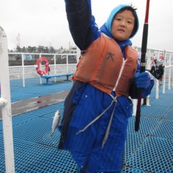 オリジナルメーカー海づり公園(市原市海づり施設) 釣果