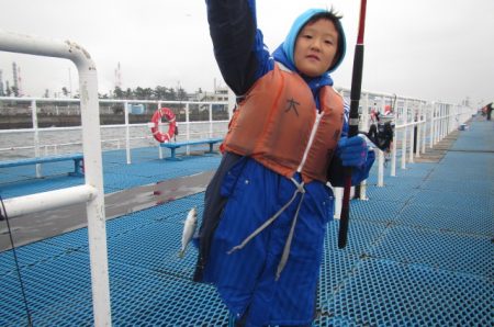 オリジナルメーカー海づり公園(市原市海づり施設) 釣果