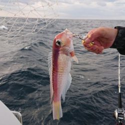 宝来丸 釣果