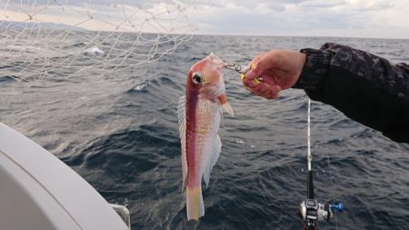 宝来丸 釣果