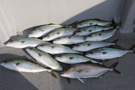 へいみつ丸 釣果