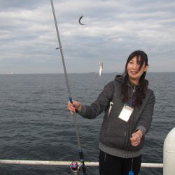 オリジナルメーカー海づり公園(市原市海づり施設) 釣果