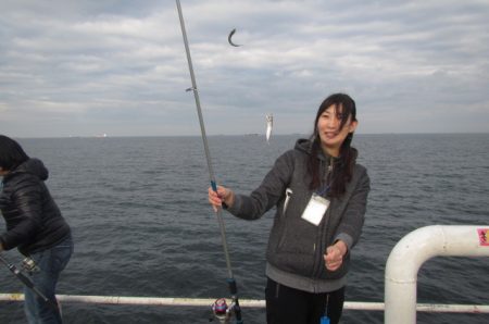 オリジナルメーカー海づり公園(市原市海づり施設) 釣果