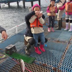 オリジナルメーカー海づり公園(市原市海づり施設) 釣果