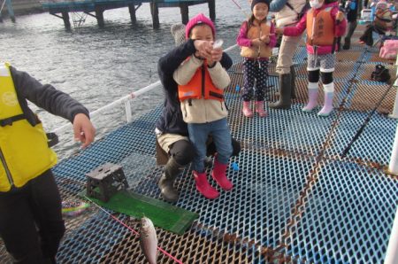 オリジナルメーカー海づり公園(市原市海づり施設) 釣果