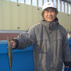 オリジナルメーカー海づり公園(市原市海づり施設) 釣果