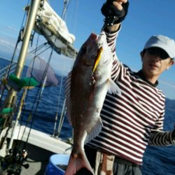 つれ鷹丸 釣果