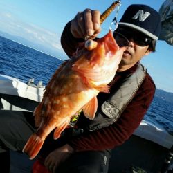 つれ鷹丸 釣果