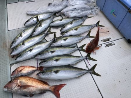 ふじしめ丸 釣果