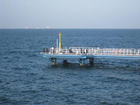 オリジナルメーカー海づり公園(市原市海づり施設) 釣果