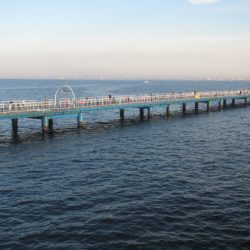 オリジナルメーカー海づり公園(市原市海づり施設) 釣果