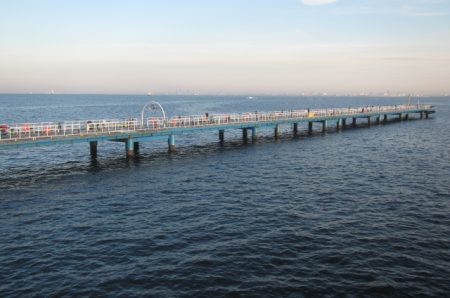 オリジナルメーカー海づり公園(市原市海づり施設) 釣果