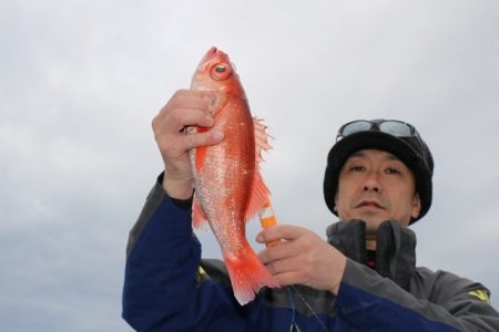 へいみつ丸 釣果