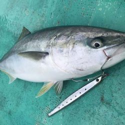 広進丸 釣果