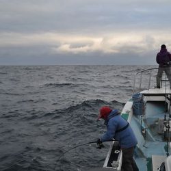 八海丸 釣果