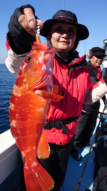 海晴丸 釣果