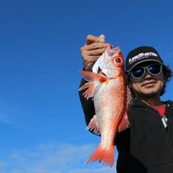 へいみつ丸 釣果