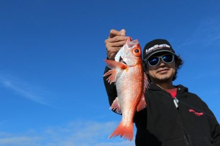 へいみつ丸 釣果