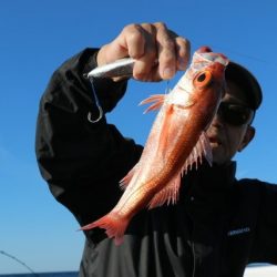 へいみつ丸 釣果