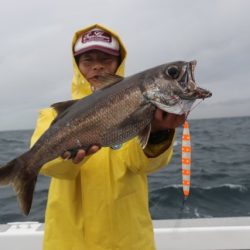 へいみつ丸 釣果