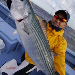 松鶴丸 釣果