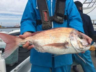 博栄丸 釣果