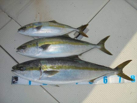 ＨＡＲＵＫＡ丸　はるかまる 釣果