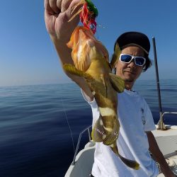 フィッシングボート空風（そらかぜ） 釣果